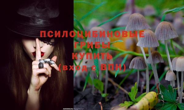 Альфа ПВП Инта