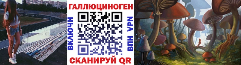 Купить  Ипатово  Галлюциногенные грибы Psilocybine cubensis 