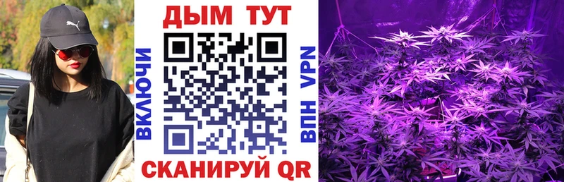 Купить где  Ипатово  Каннабис тримм 